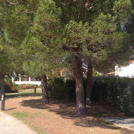 Domaine Des Lavandiers Appartement
